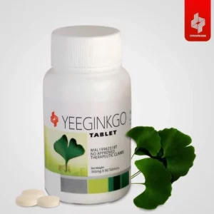 Gingko Comprimé (Améliore la circulation sanguine, prévention des AVC)