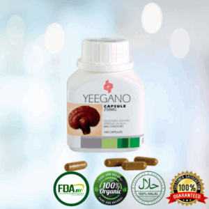 Ganoderma Capsule